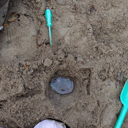 SM005_Sandkasten Wasser rühren_1